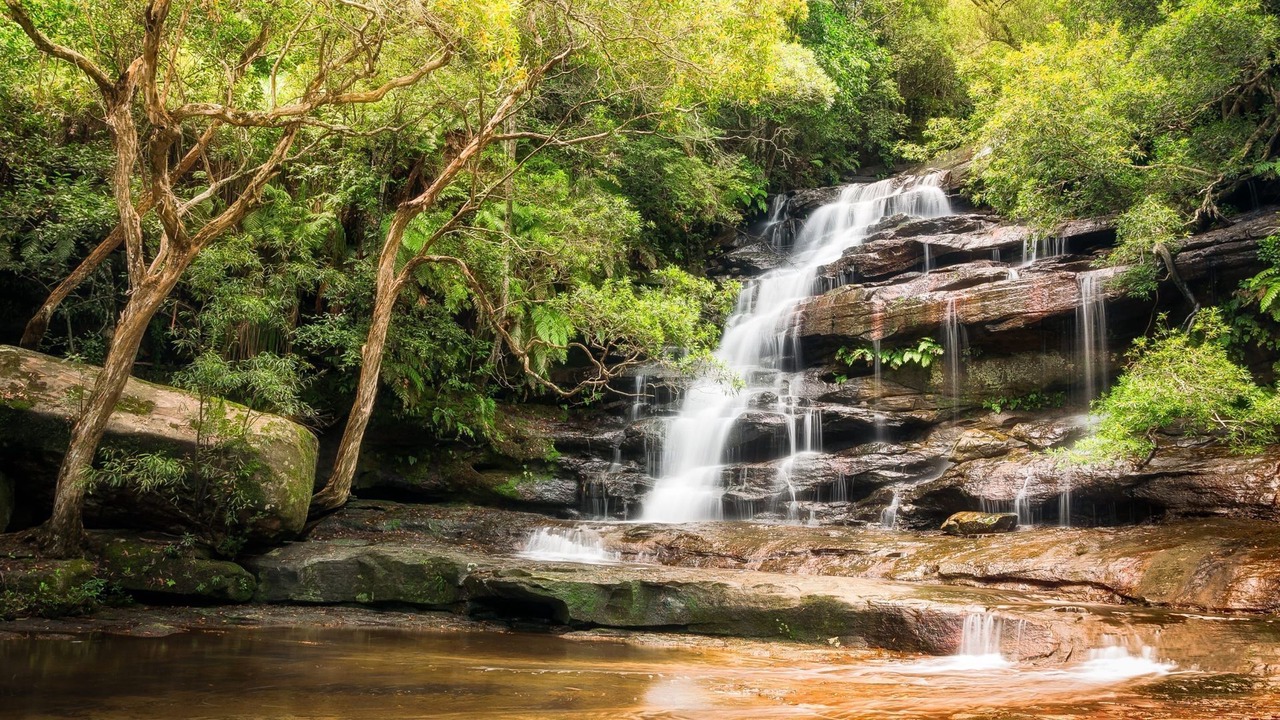 Photo of Others in Gosford