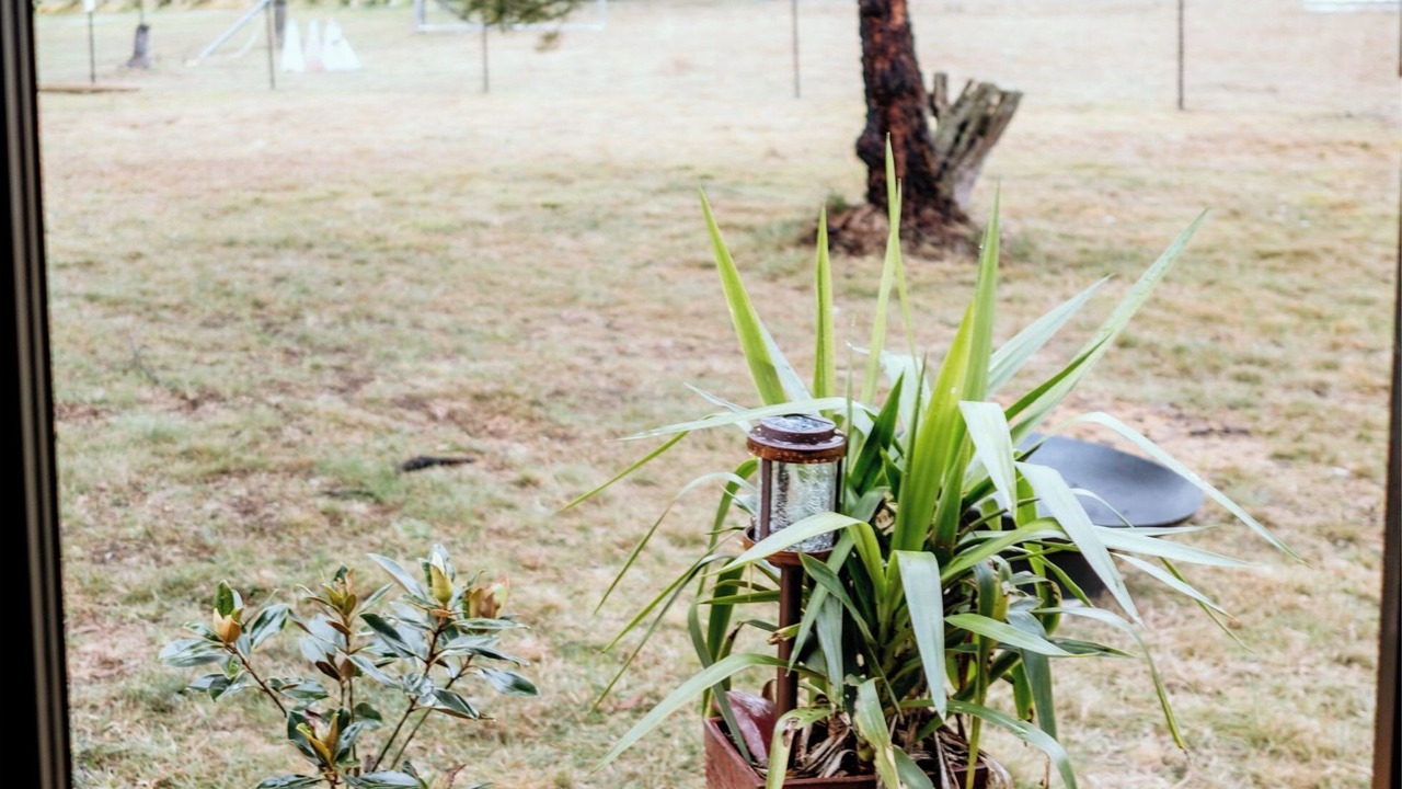 Photo of Outdoor in Baw Baw
