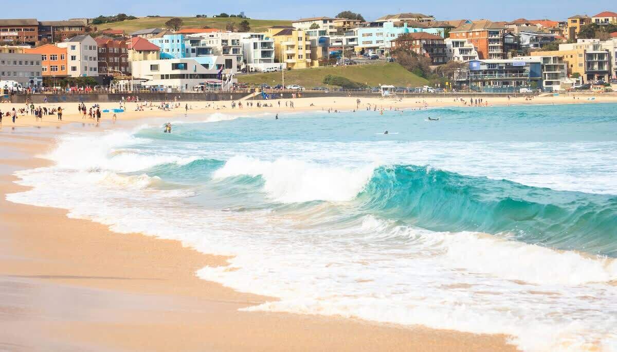 Photo of Others in North Bondi