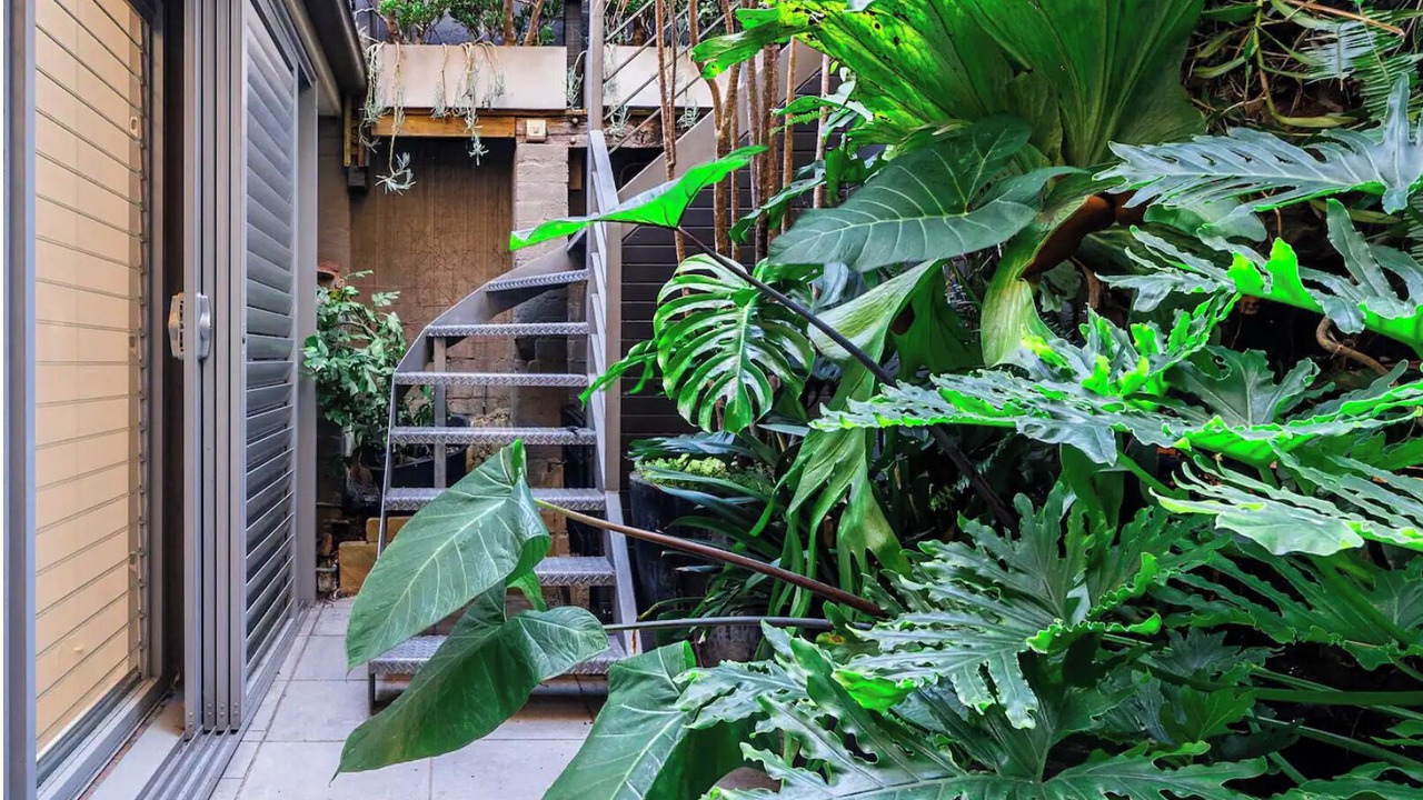 Photo of Outdoor in Darlinghurst