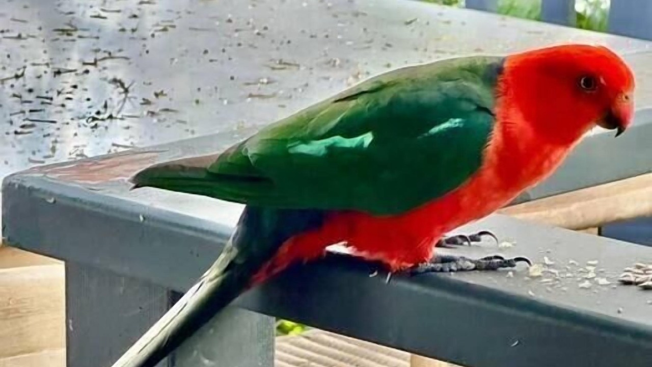 Photo of Others in Marrickville