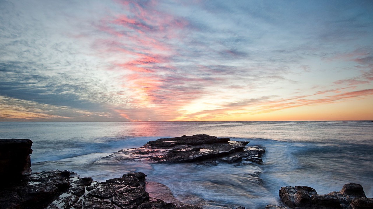 Photo of Others in Narrabeen
