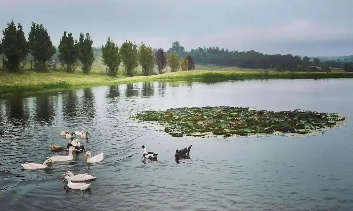 Photo of Outdoor in High Range