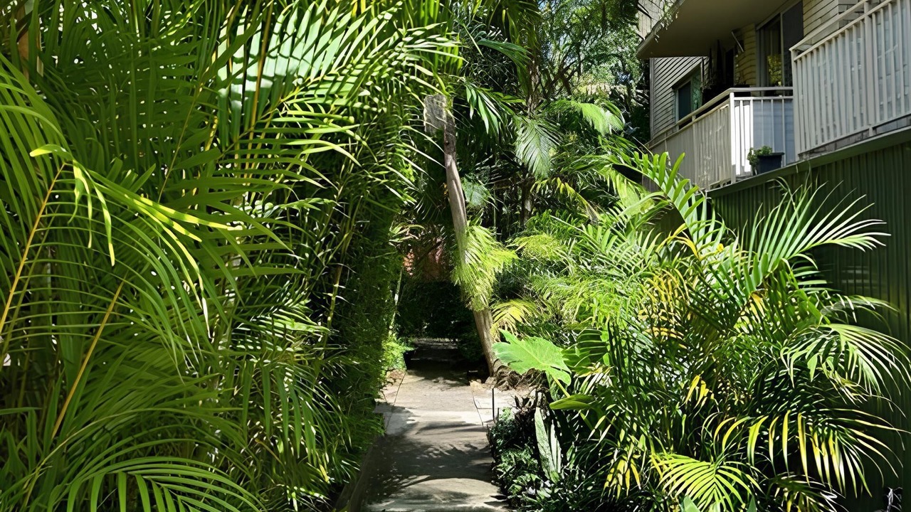 Photo of Outdoor in Manly Vale