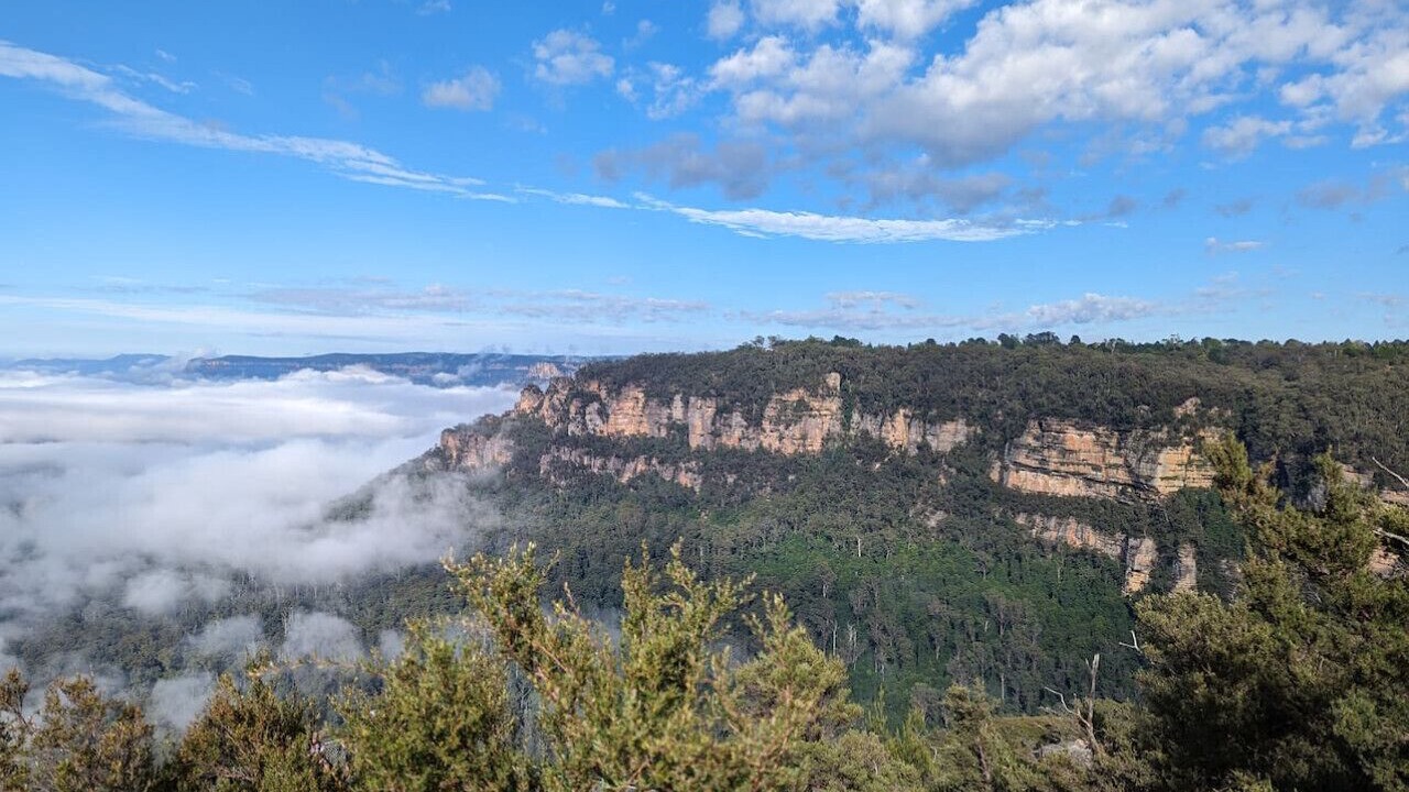 Photo of Others in Leura