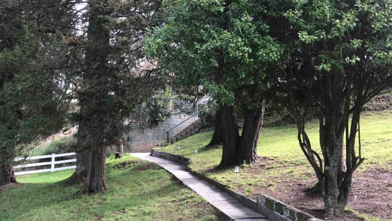 Photo of Outdoor in Katoomba