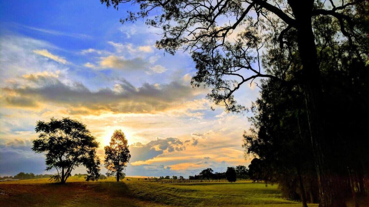 Photo of Others in Lovedale