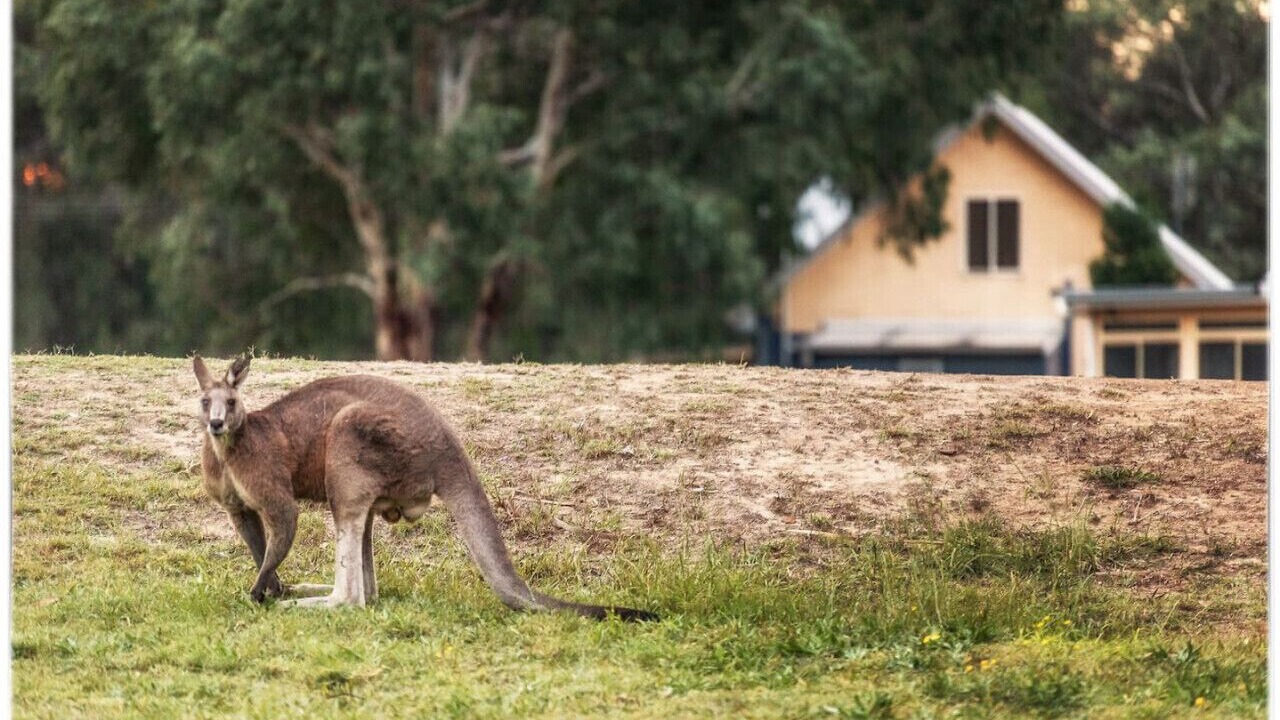 Photo of Others in Lovedale