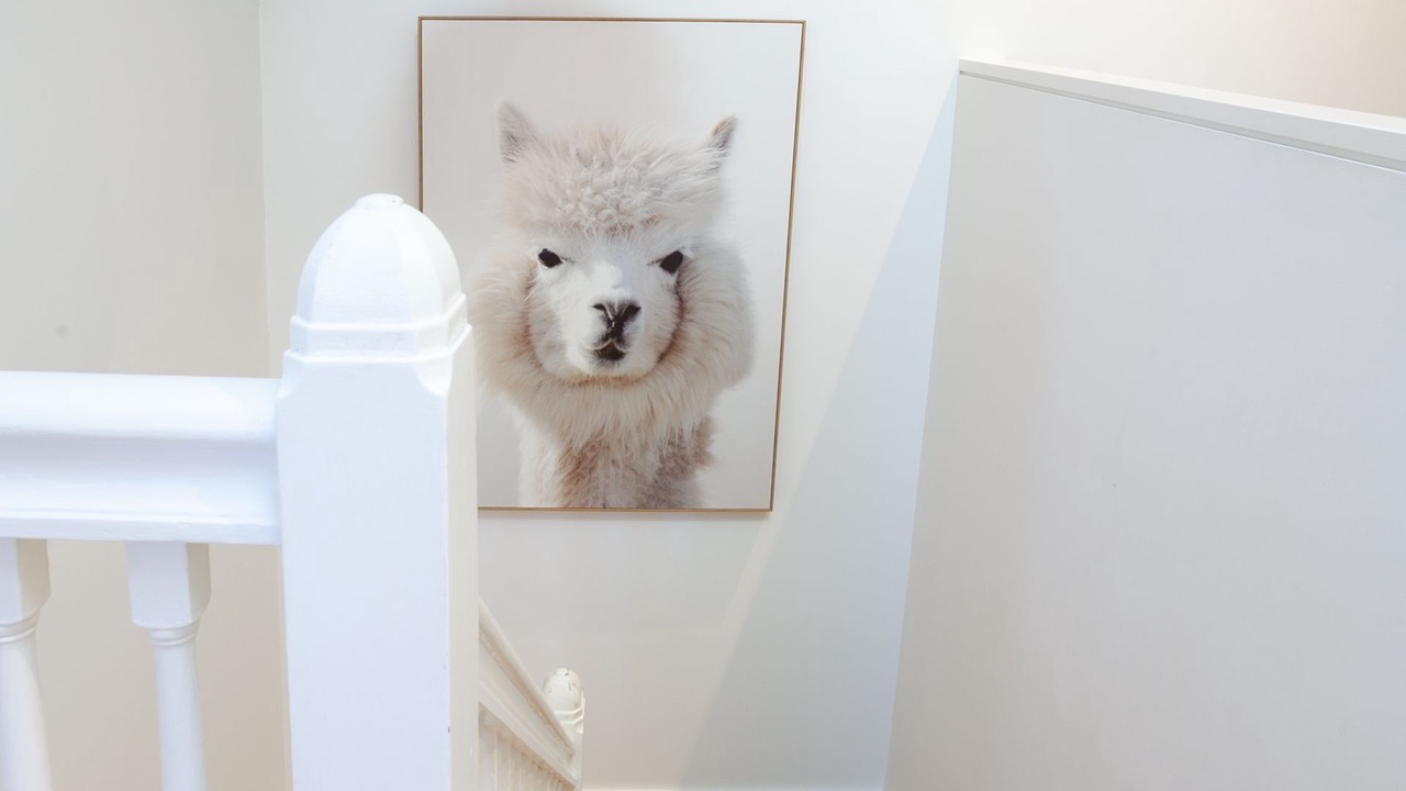 Photo of Others in North Bondi