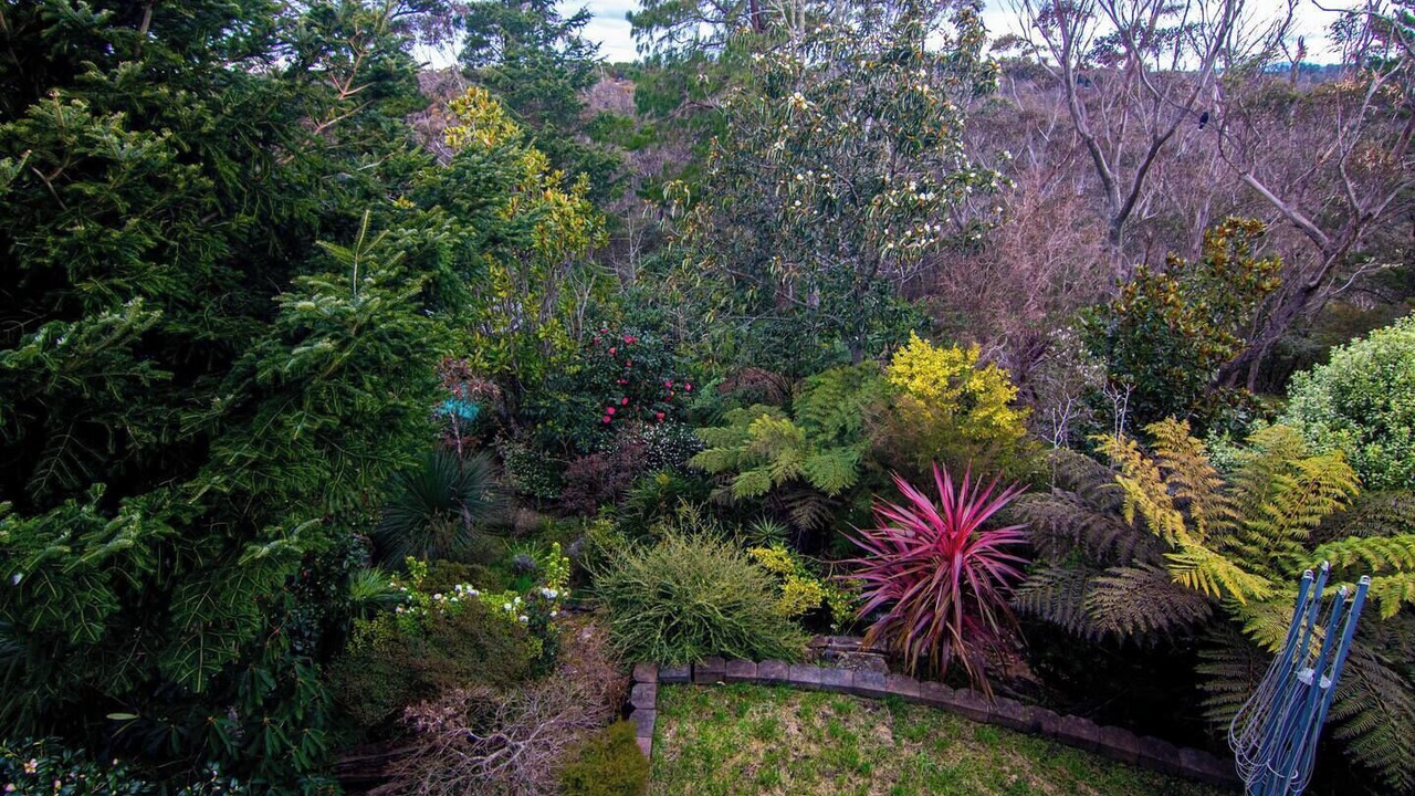 Photo of Outdoor in Wentworth Falls