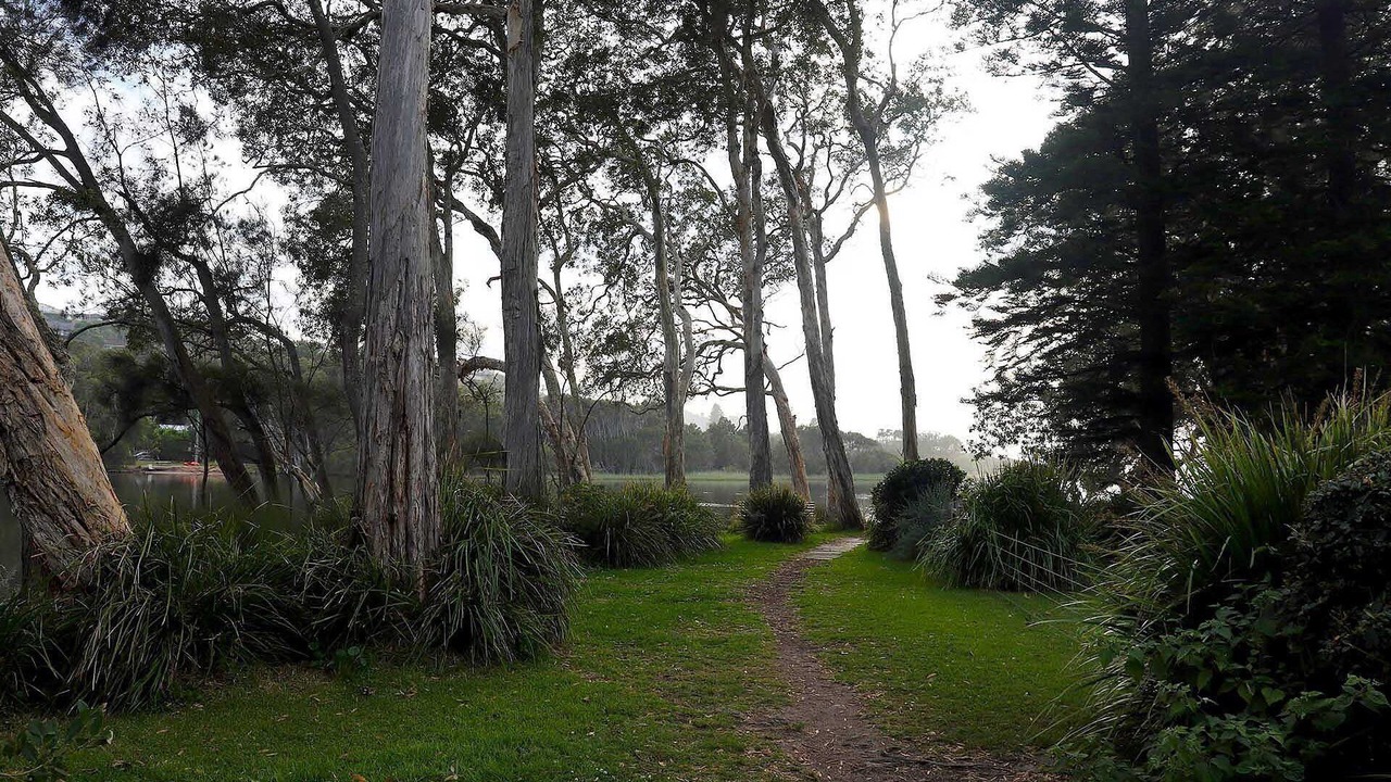 Photo of Outdoor in Macmasters Beach