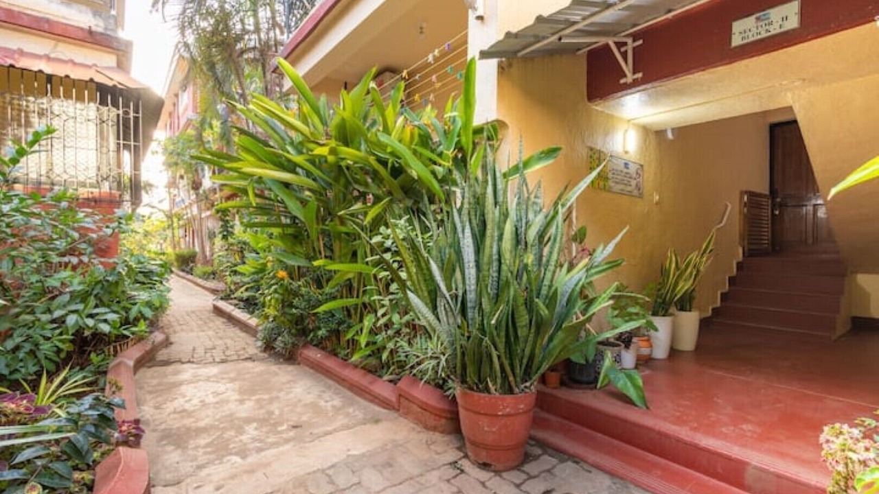 Photo of Outdoor in Varca