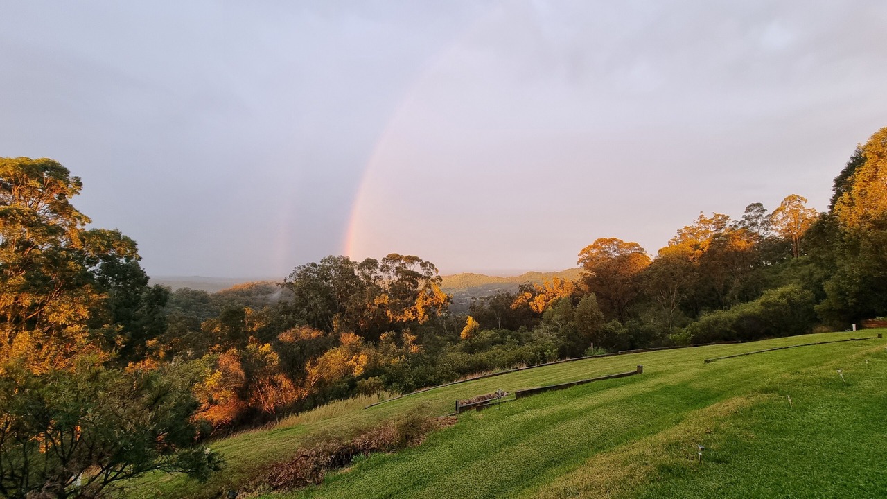 Photo of Others in Mount Hunter