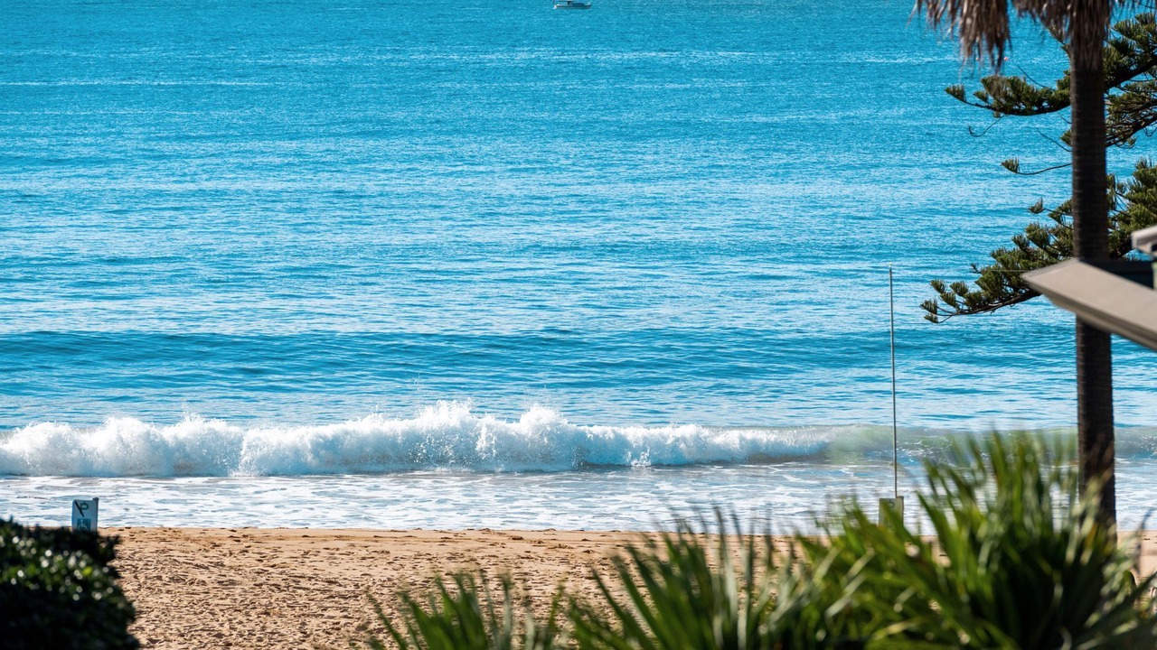 Photo of Others in Palm Beach