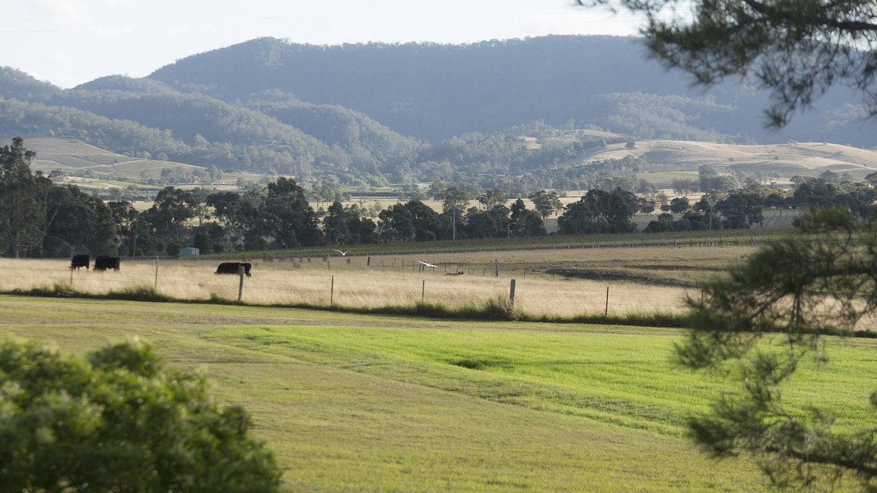 Photo of Outdoor in Pokolbin