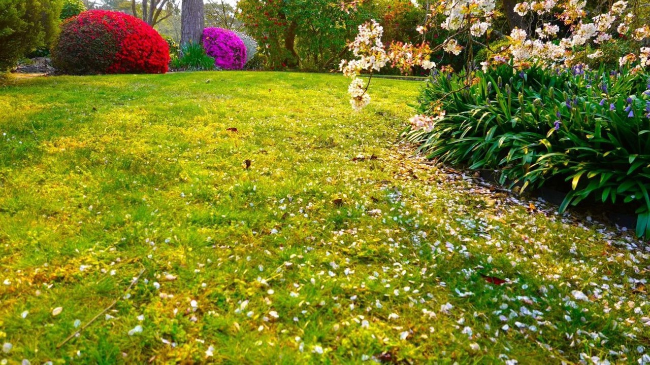 Photo of Outdoor in Wentworth Falls