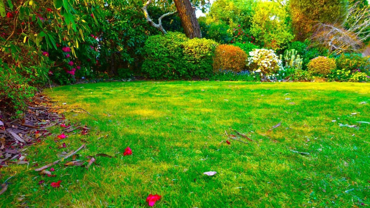 Photo of Outdoor in Wentworth Falls