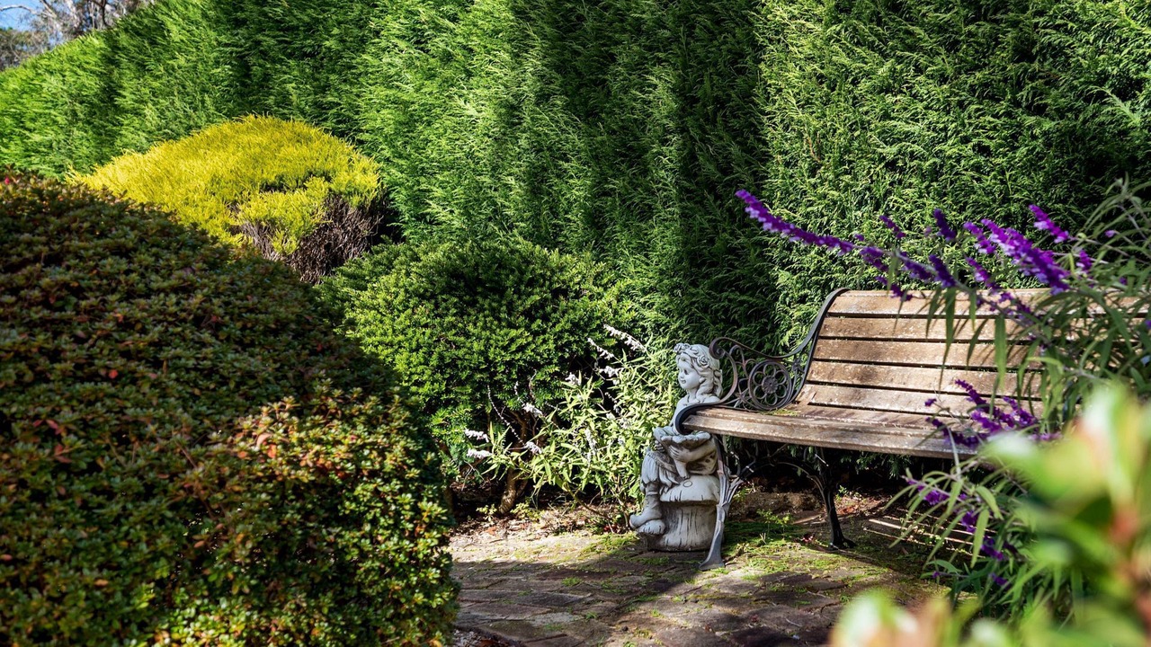 Photo of Outdoor in Wentworth Falls
