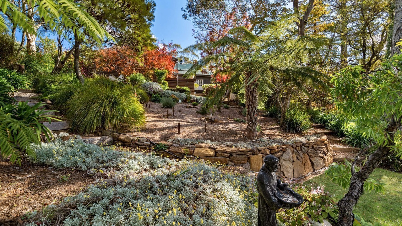 Photo of Outdoor in Wentworth Falls