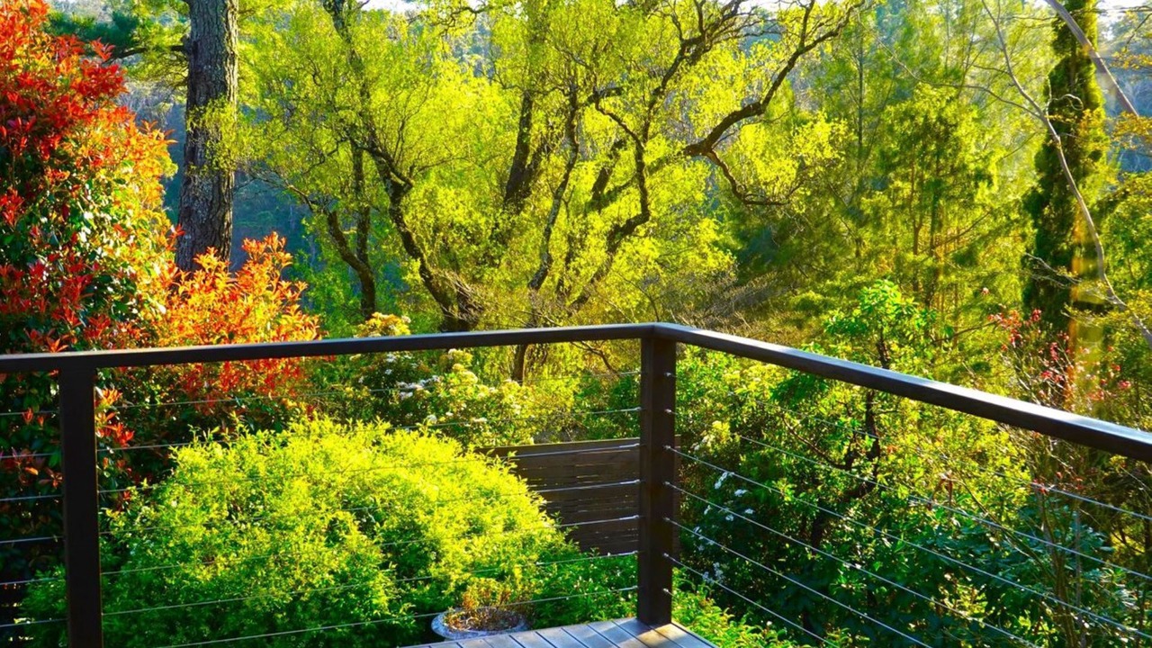 Photo of Outdoor in Wentworth Falls