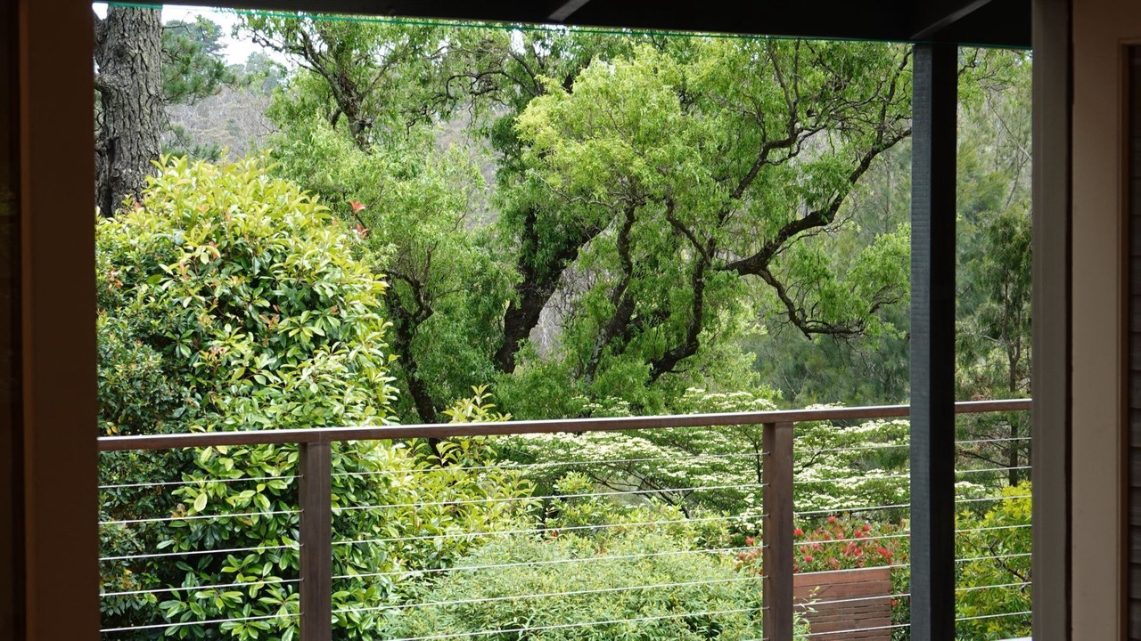 Photo of Outdoor in Wentworth Falls