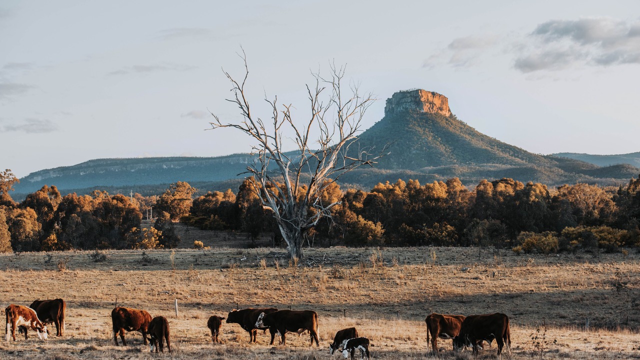 Photo of Others in Glen Davis