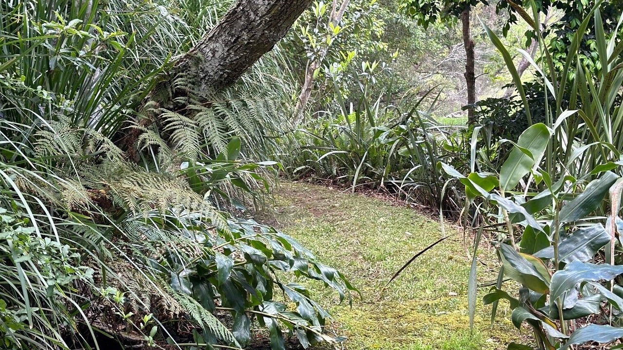 Photo of Outdoor in Kincumber