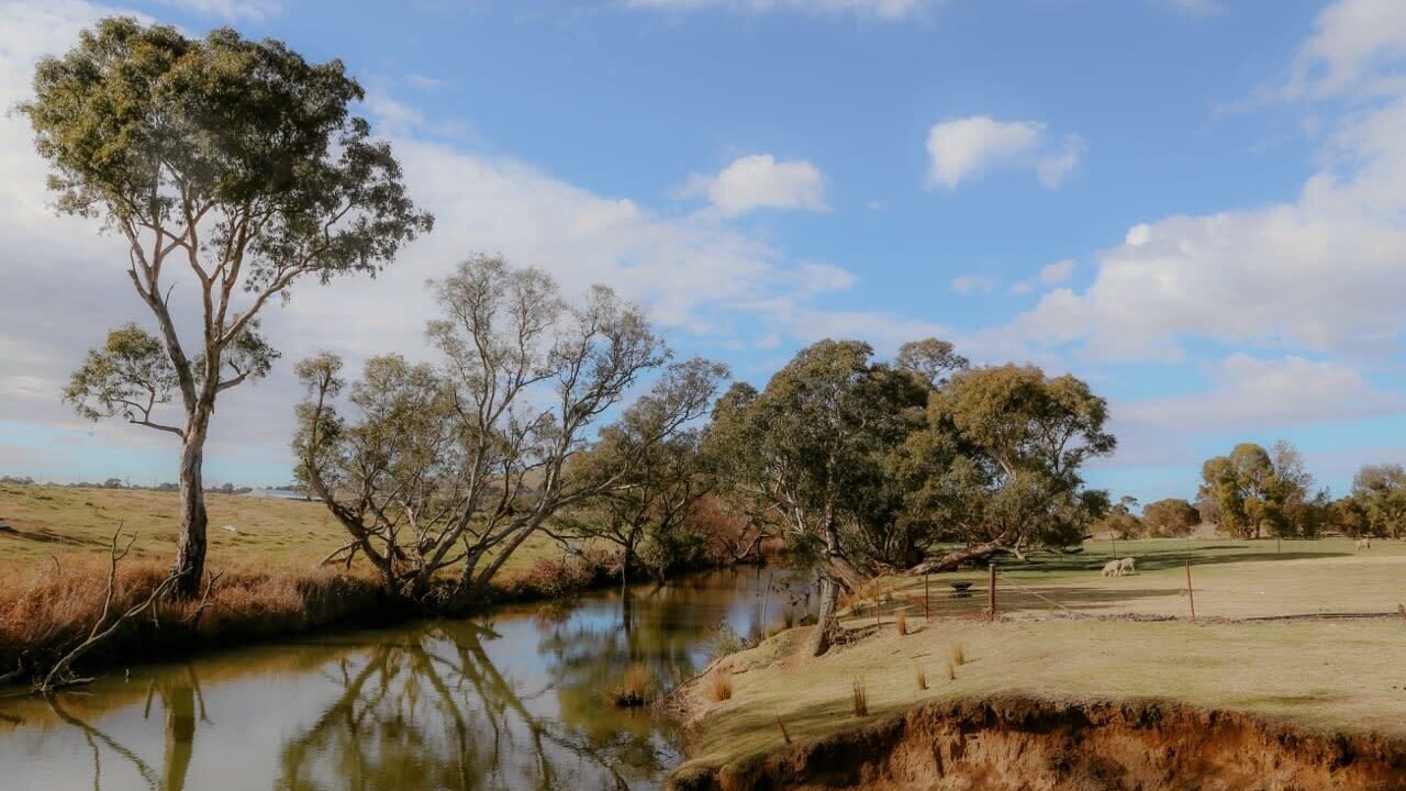Photo of Others in Boorowa