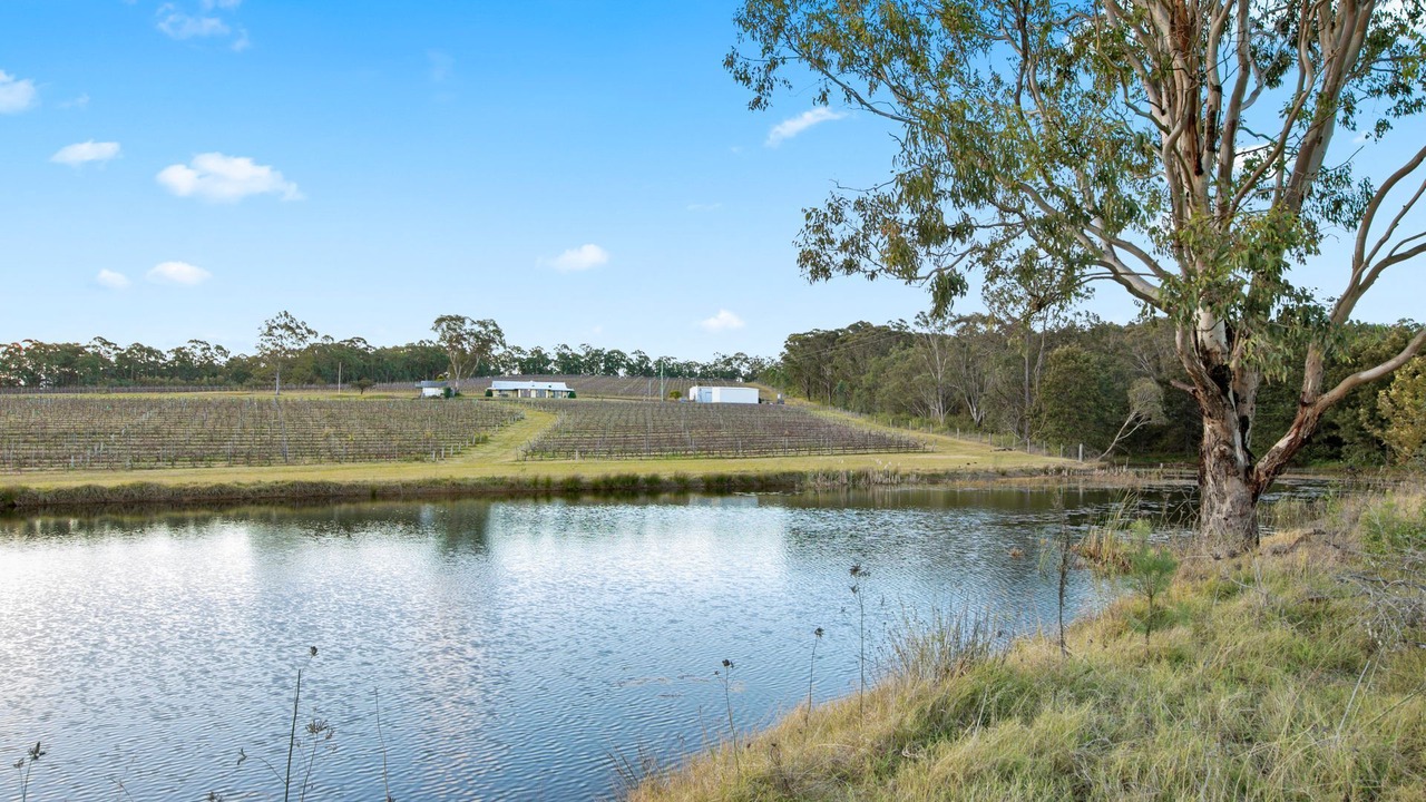 Photo of Others in Lovedale