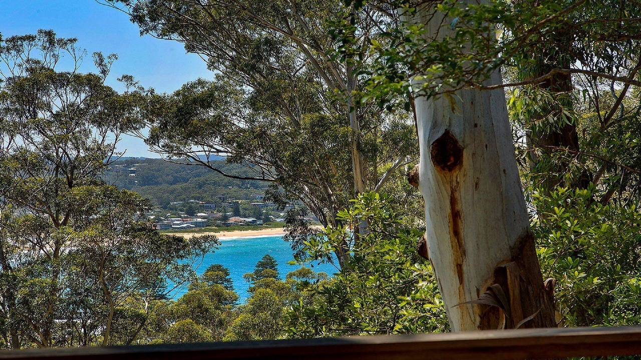 Photo of Others in Avoca Beach