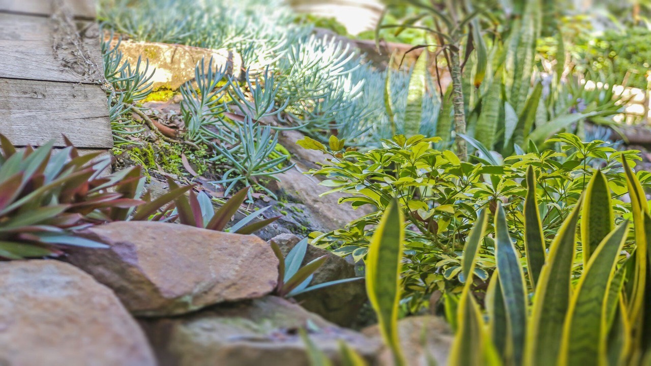 Photo of Outdoor in Avoca Beach