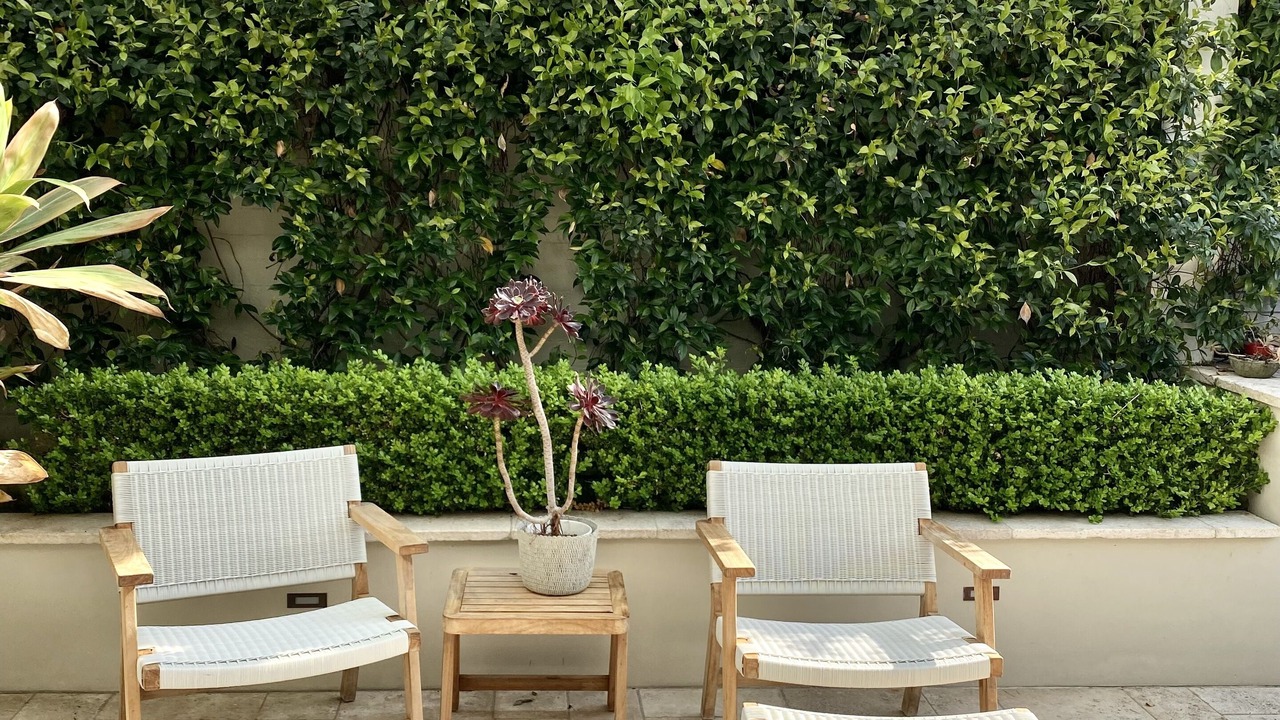 Photo of Patio Balcony in Manly