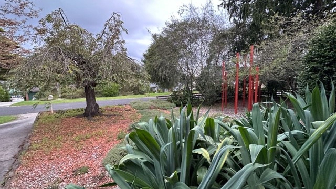Photo of Outdoor in Wentworth Falls