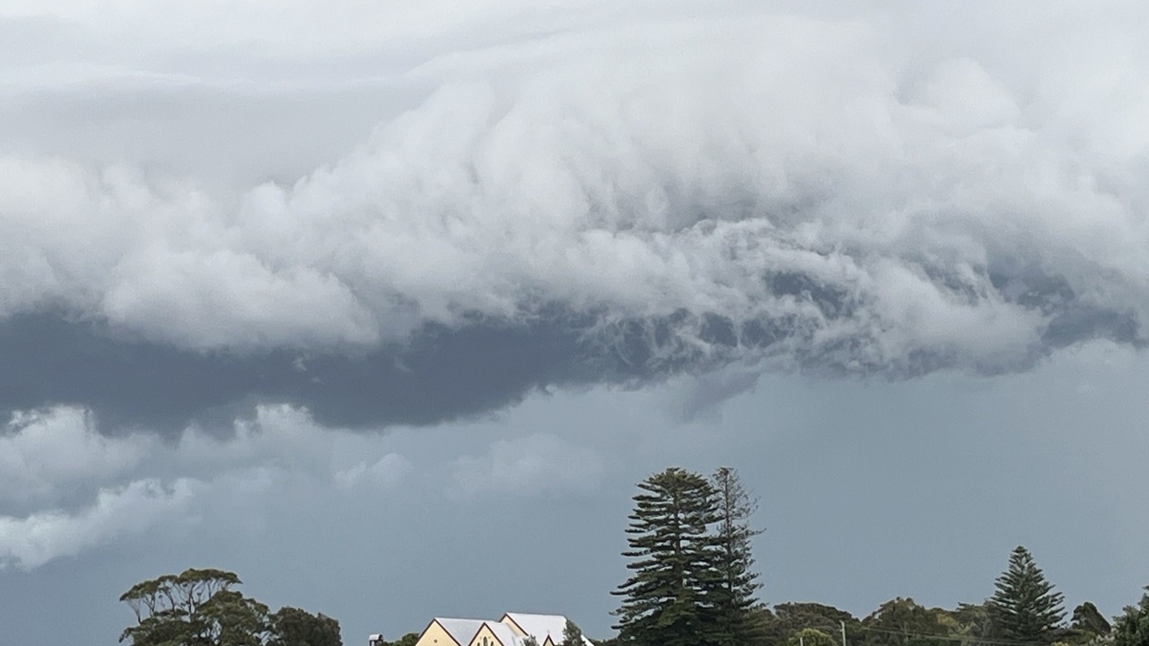 Photo of Others in Gerringong