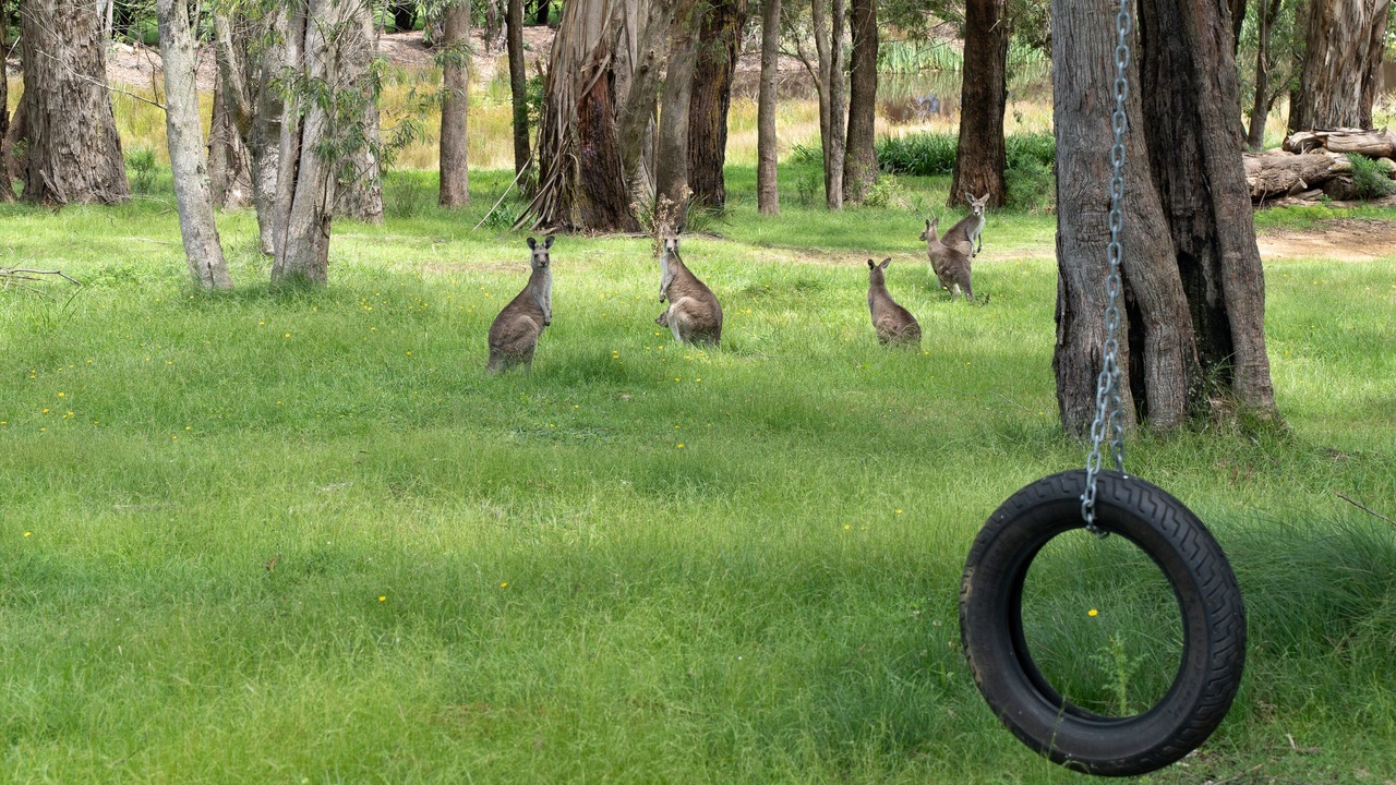 Photo of Others in Bundanoon