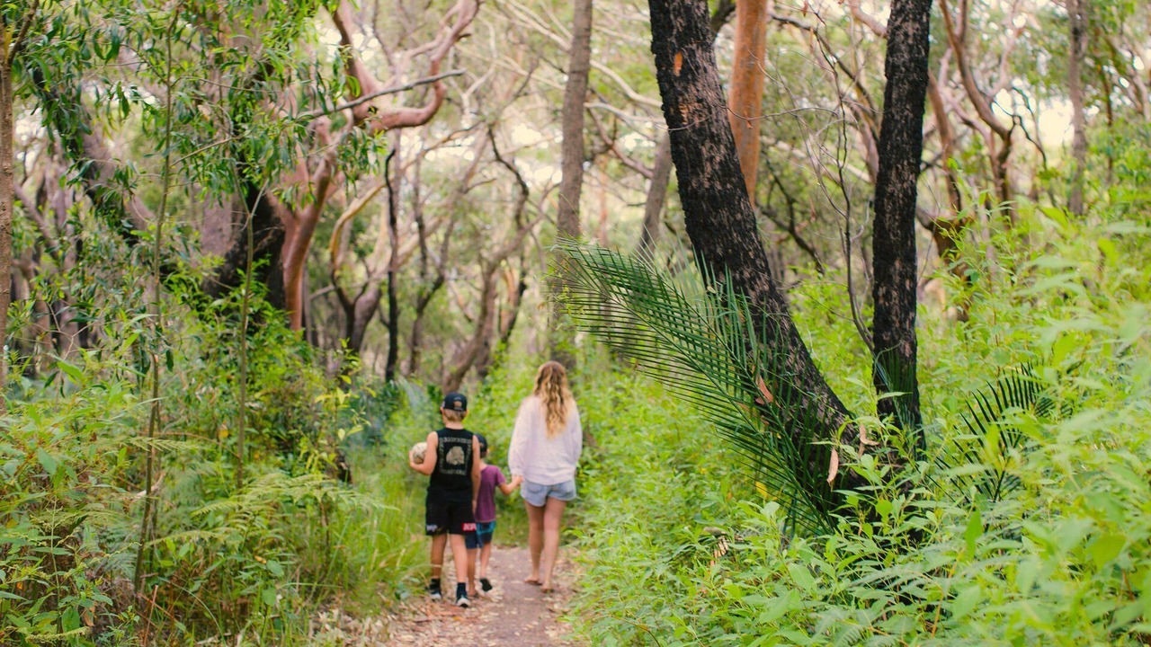 Photo of Others in Macmasters Beach