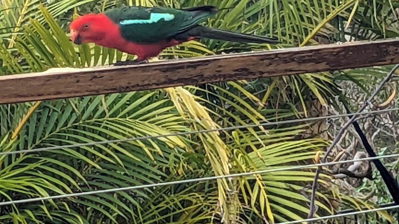 Photo of Others in Engadine