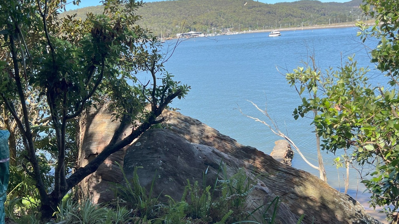 Photo of Others in Dangar Island