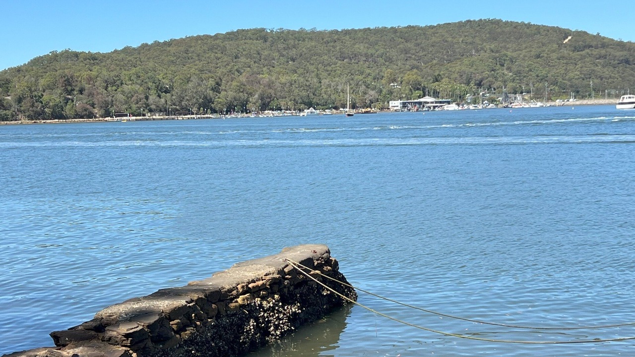 Photo of Others in Dangar Island