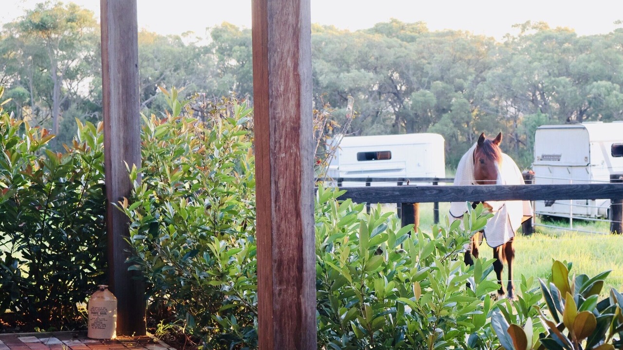 Photo of Outdoor in Somersby