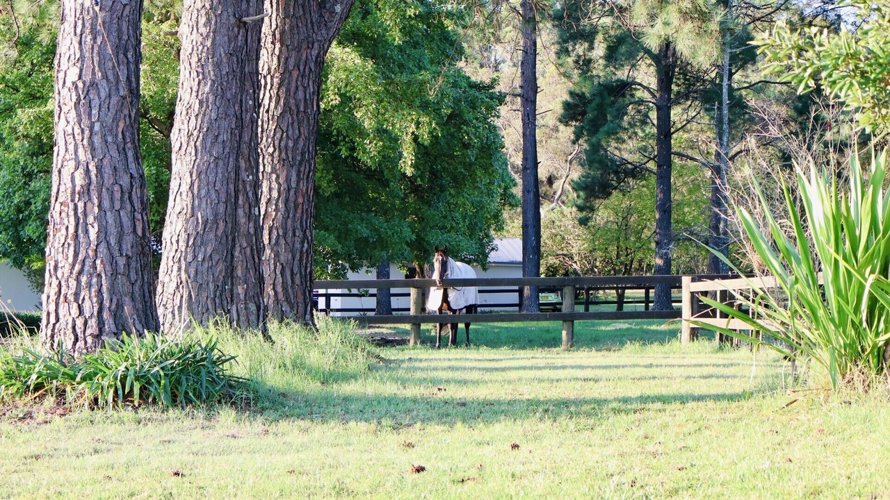 Photo of Outdoor in Somersby