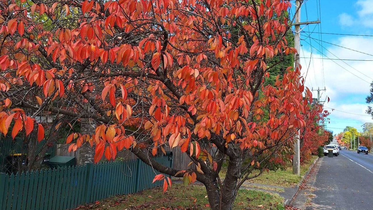 Photo of Outdoor in Blackheath