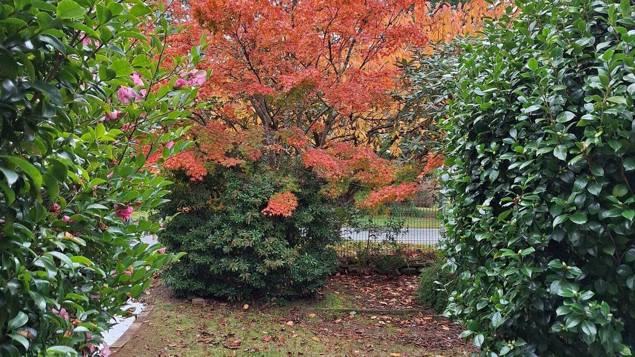 Photo of Outdoor in Blackheath