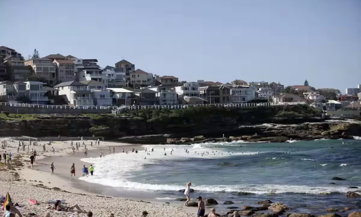 Photo of Others in Bronte
