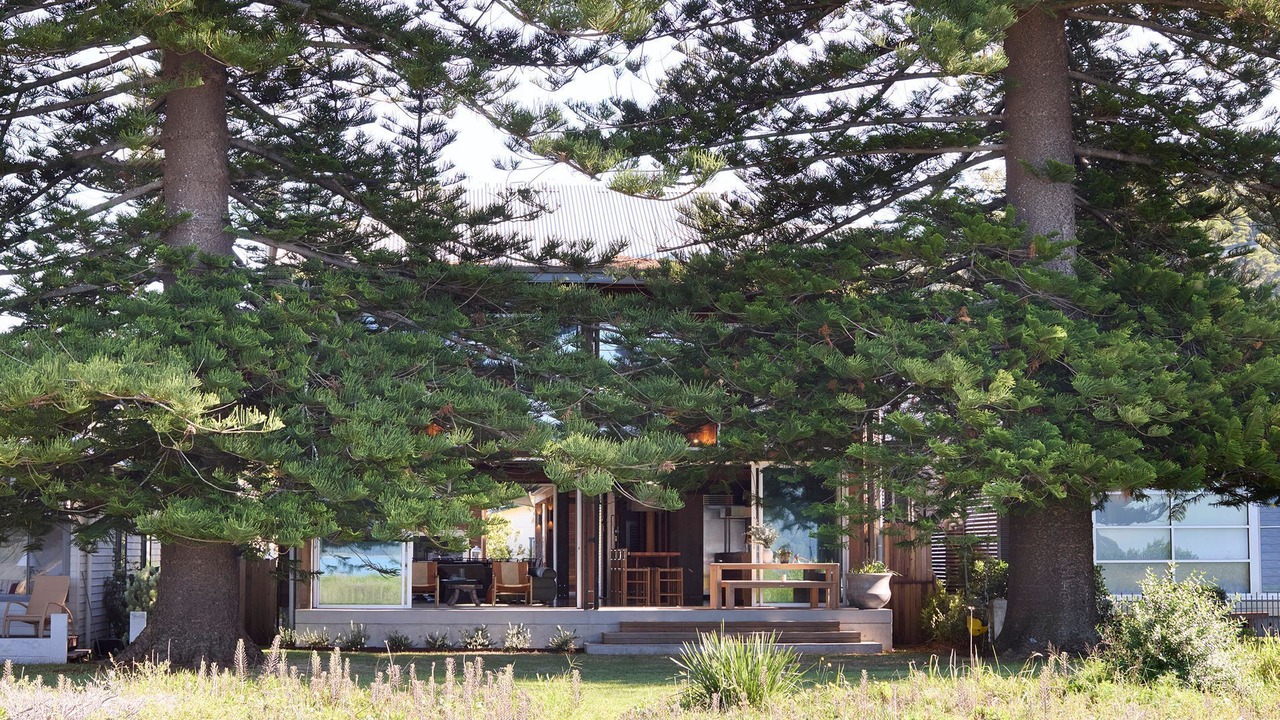 Photo of Outdoor in Patonga