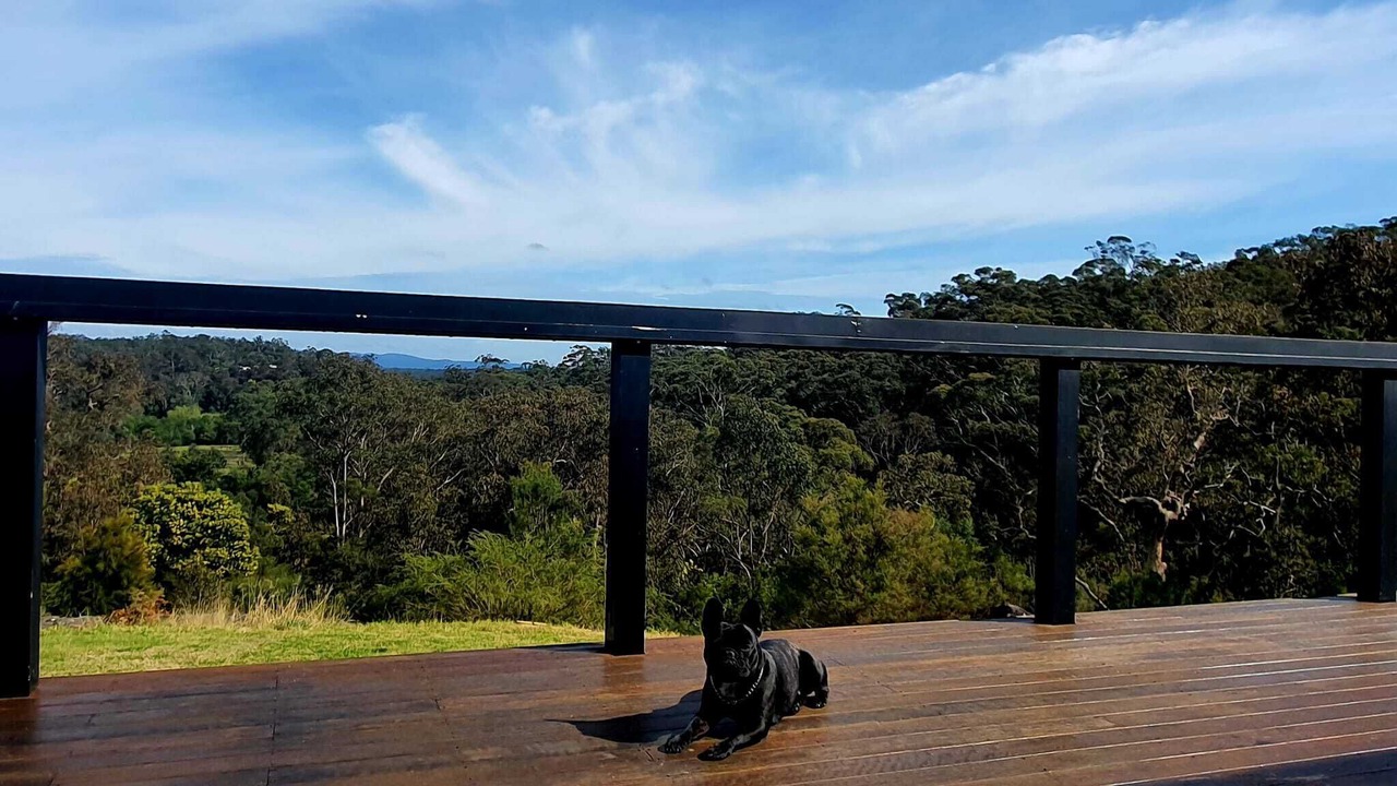 Photo of Patio Balcony in Cattai