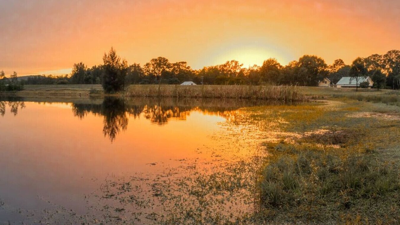Photo of Others in Lovedale