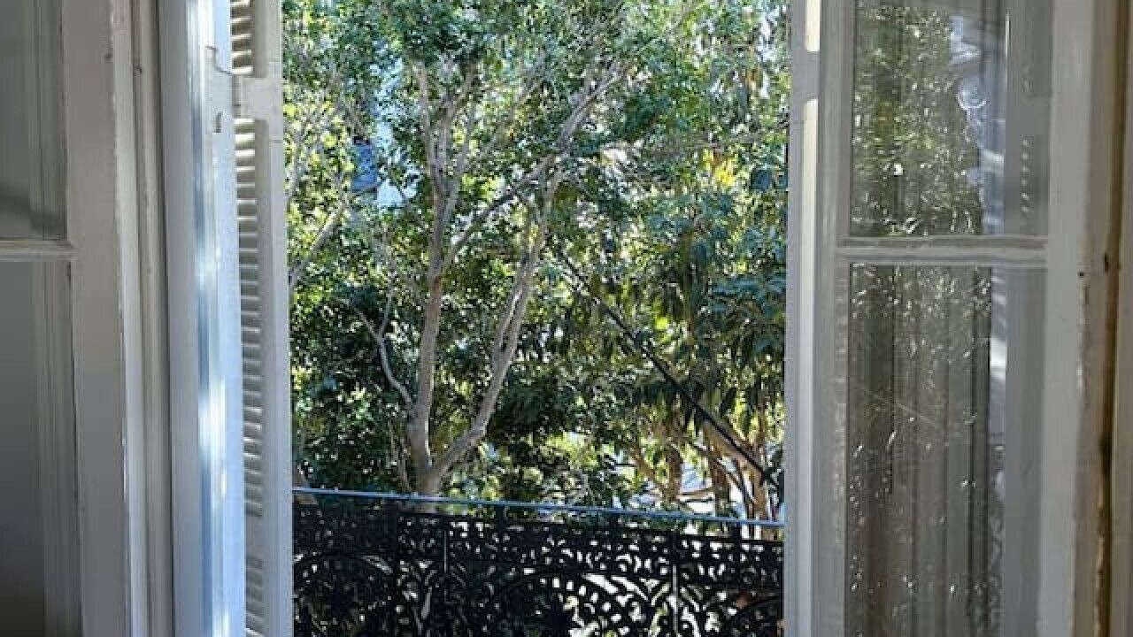 Photo of Others in Paddington