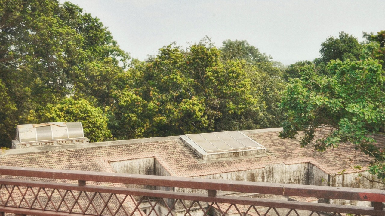 Photo of Outdoor in Haridwar