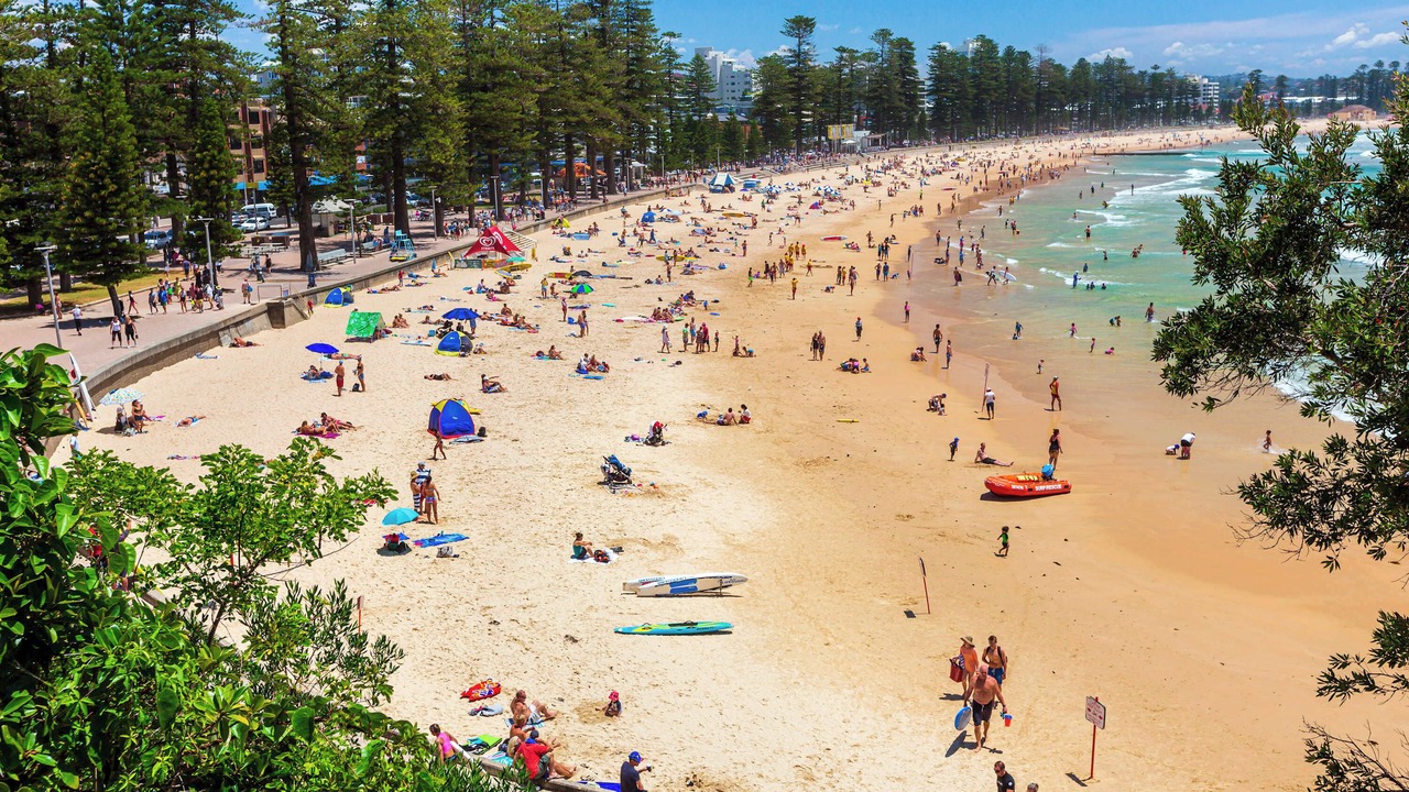 Photo of Others in Manly